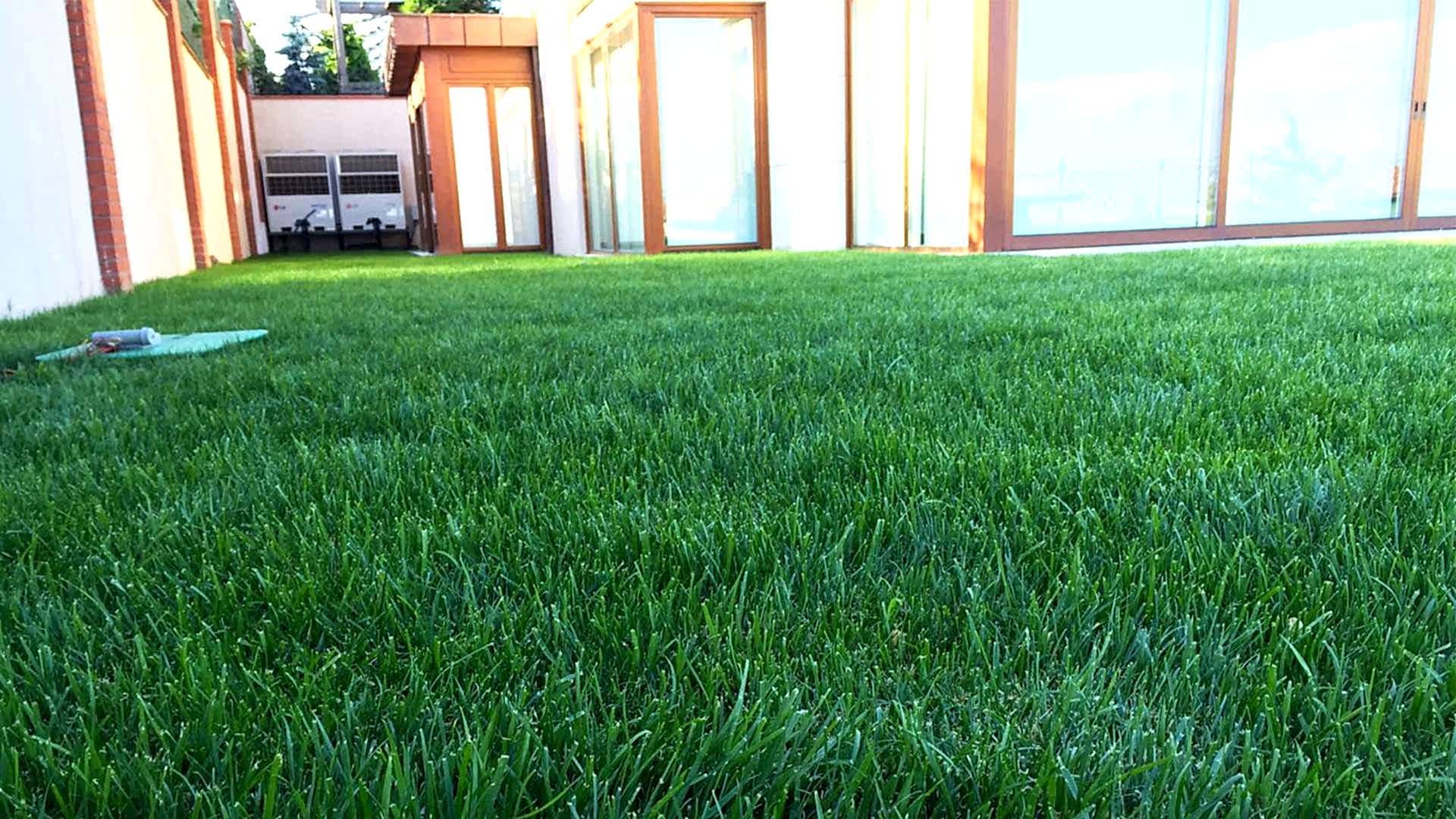 Rulo Çim Uygulaması