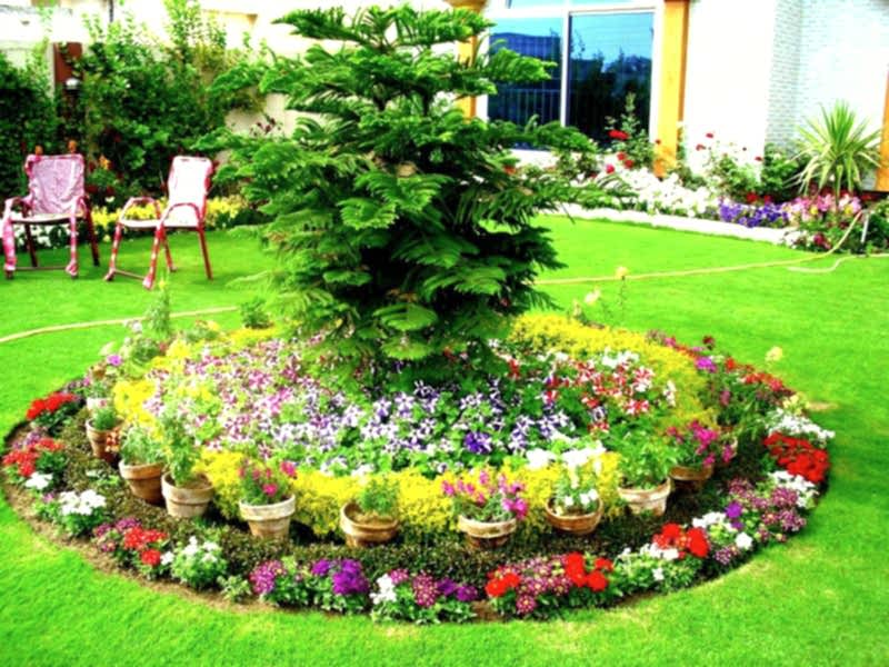 Bahçe Bitkisi Satış ve Temini