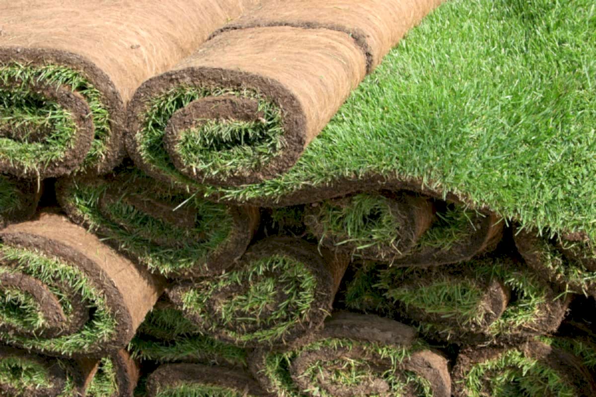 Rulo Çim Uygulaması