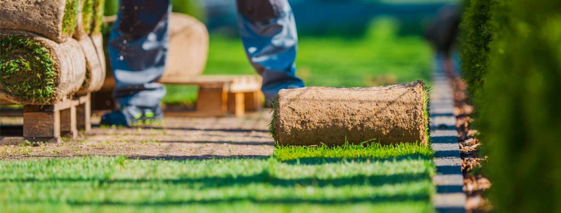 Rulo Çim Uygulaması