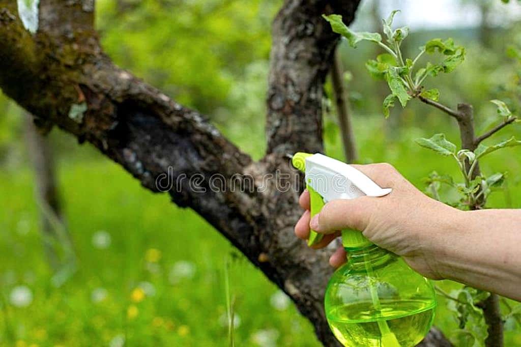 Bahçe ve Ağaç İlaçlama Uygulaması