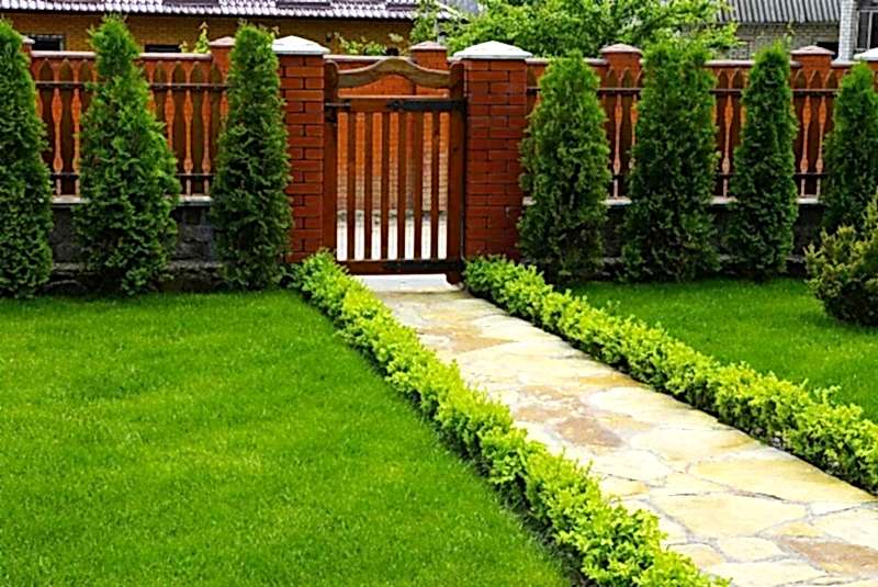 Bahçe Sert Zemin ve Yürüyüş Yolu