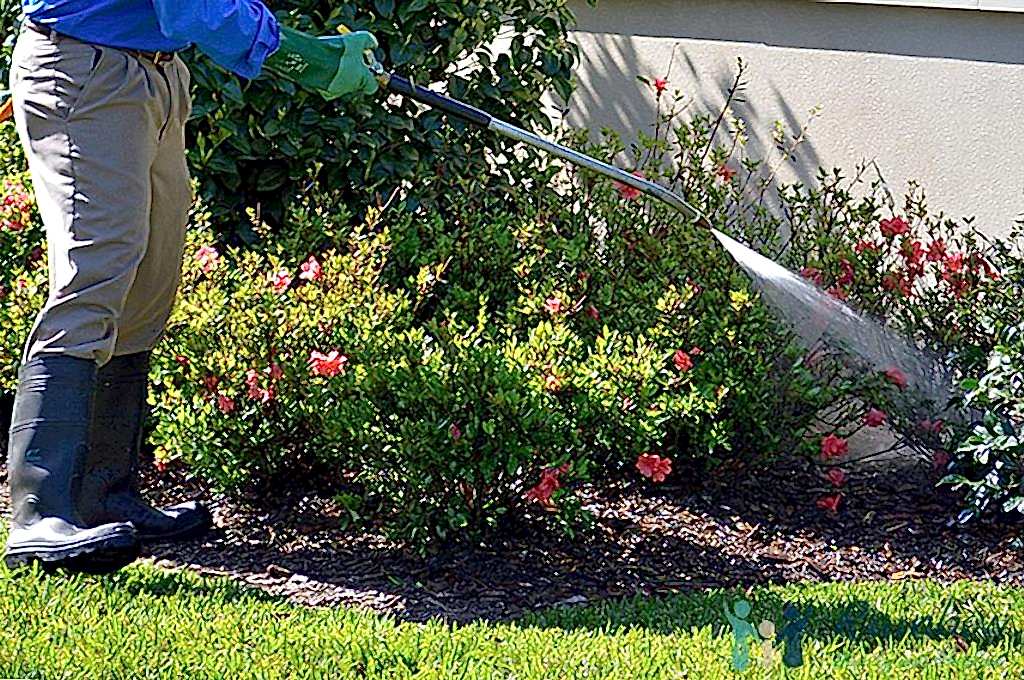 Bahçe ve Ağaç İlaçlama Uygulaması