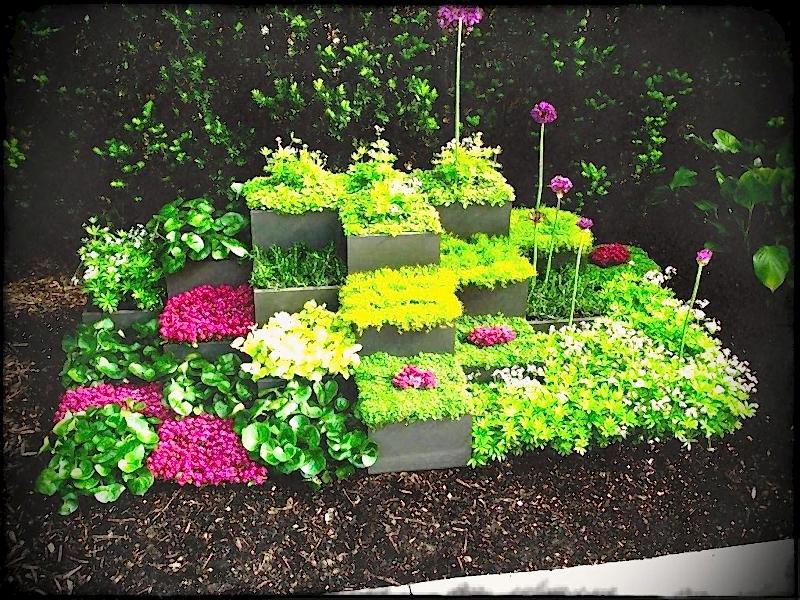 Bahçe Bitkisi Satış ve Temini