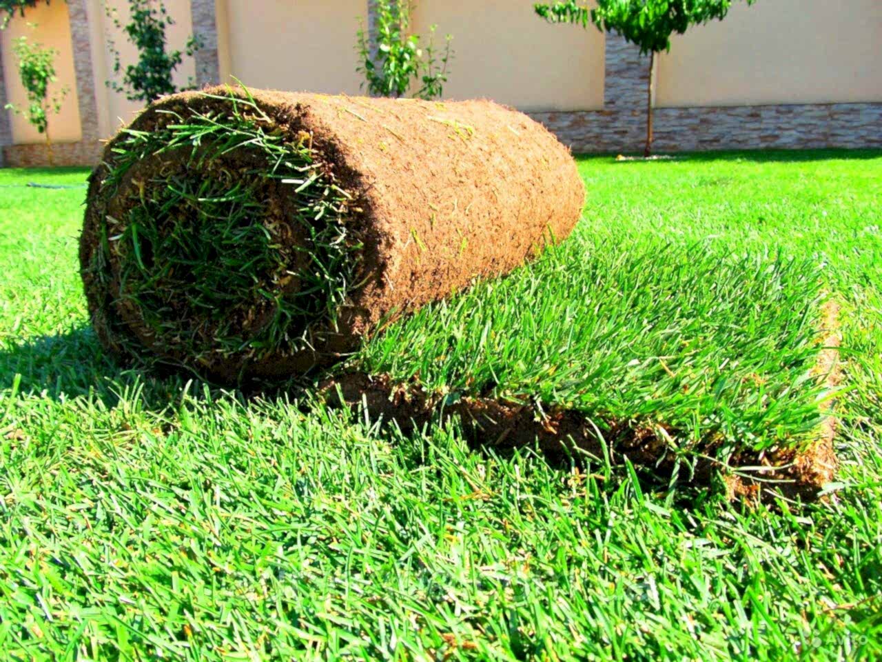 Rulo Çim Uygulaması