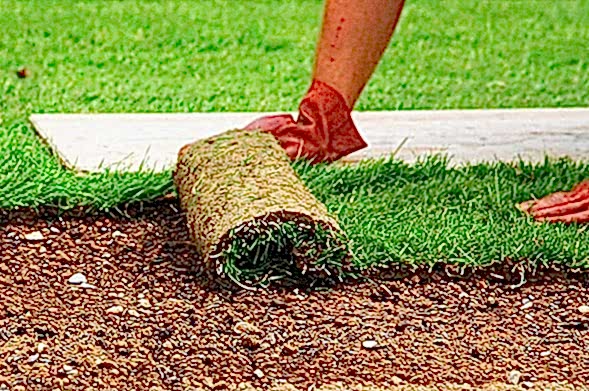 Rulo Çim Uygulaması