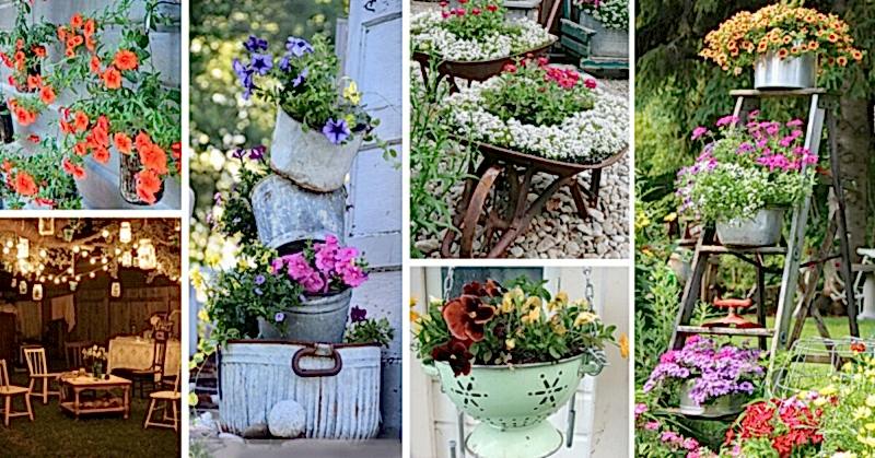 Bahçe Bitkisi Satış ve Temini