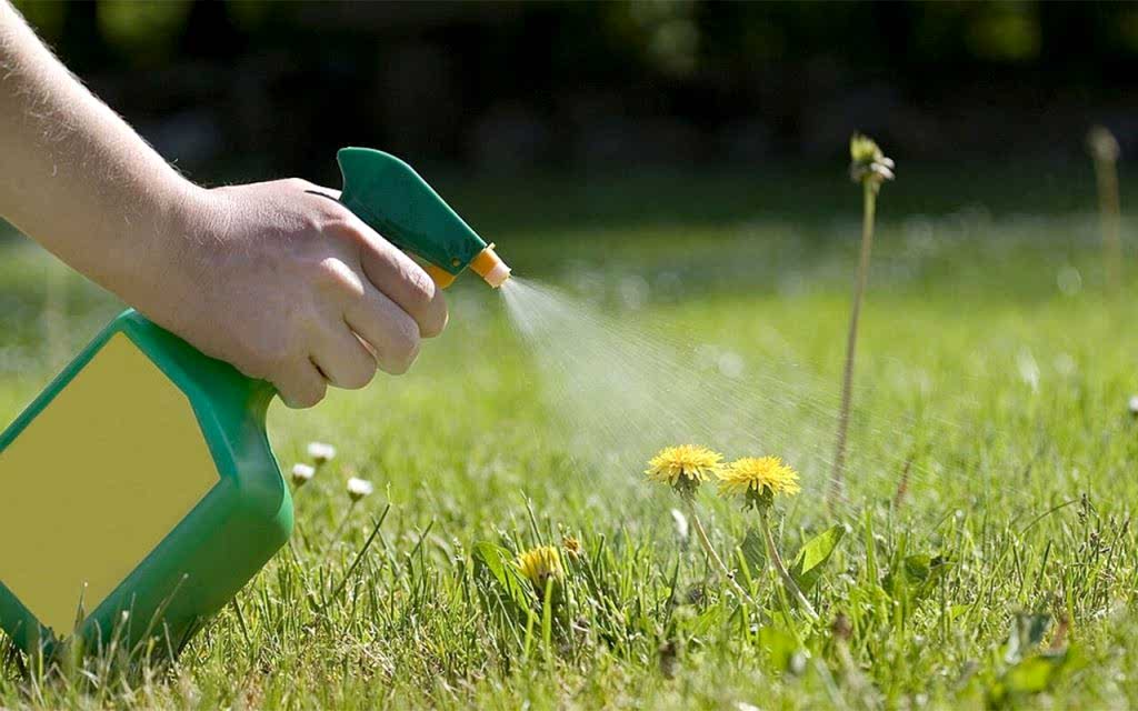 Bahçe ve Ağaç İlaçlama Uygulaması