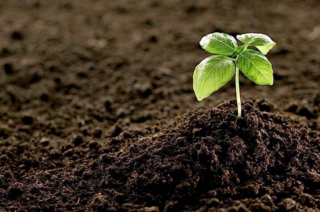 Gübreli Toprak Temini