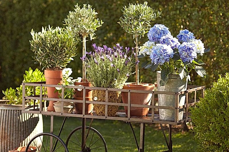 Bahçe Süsleme Tasarım ve Gereçleri