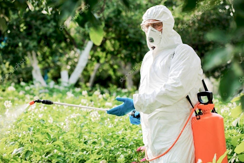 Bahçe ve Ağaç İlaçlama Uygulaması