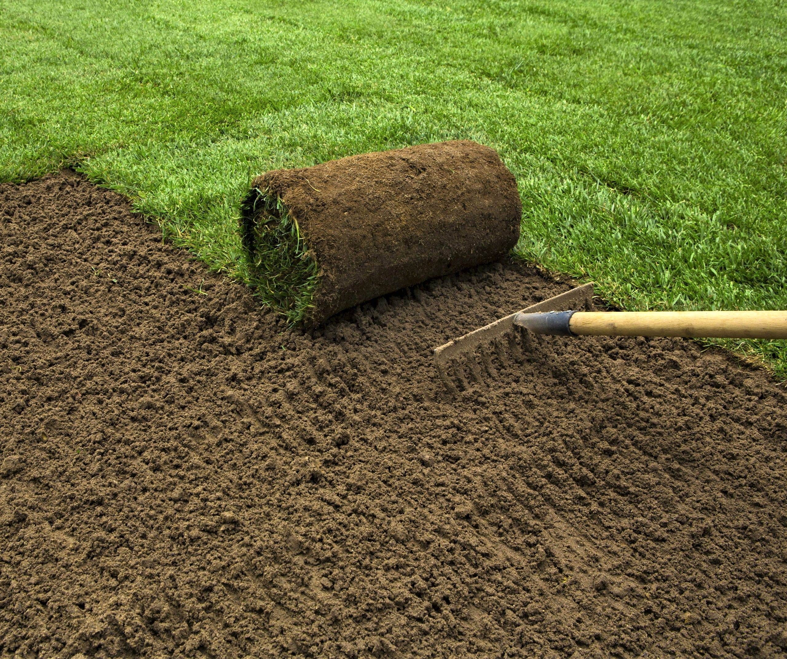 Rulo Çim Uygulaması