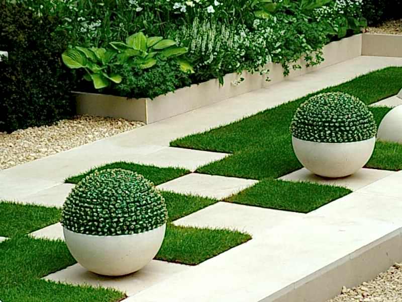 Bahçe Bitkisi Satış ve Temini