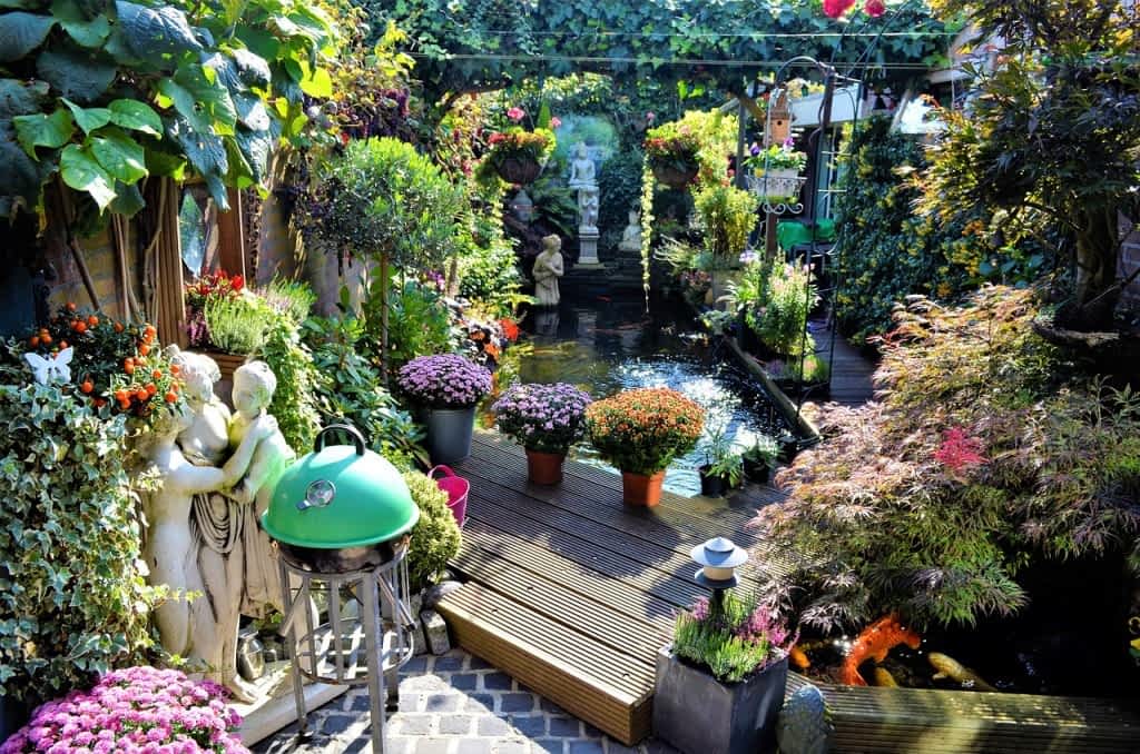 Bahçe Bitkisi Satış ve Temini