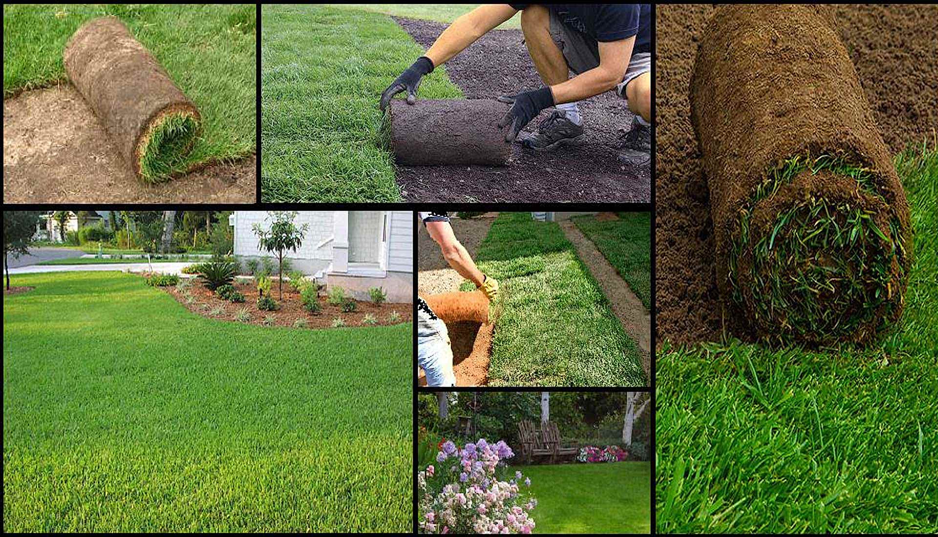 Rulo Çim Uygulaması