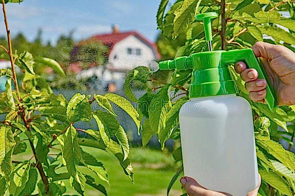 Bahçe ve Ağaç İlaçlama Uygulaması