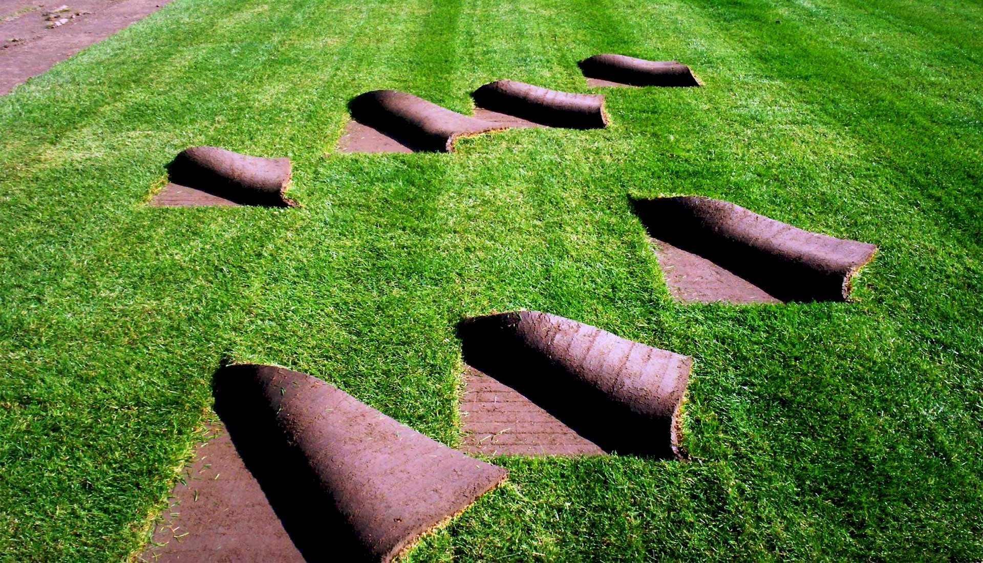 Rulo Çim Uygulaması