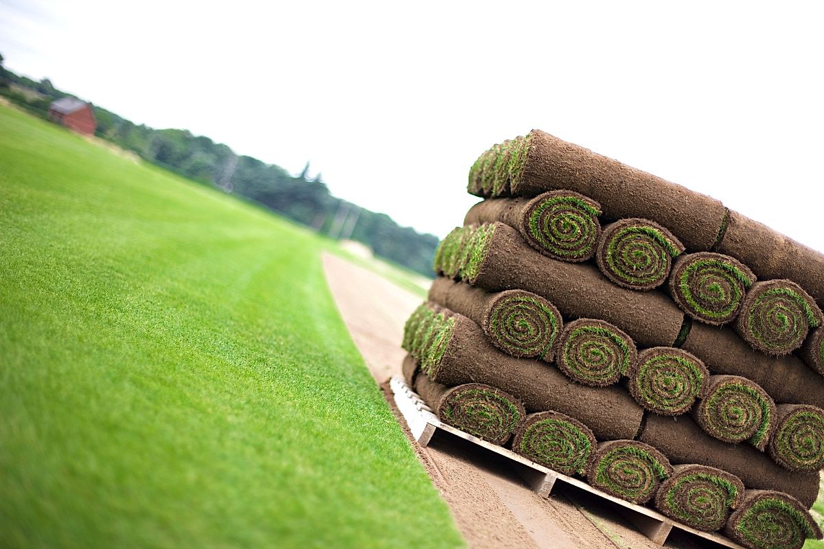 Rulo Çim Uygulaması